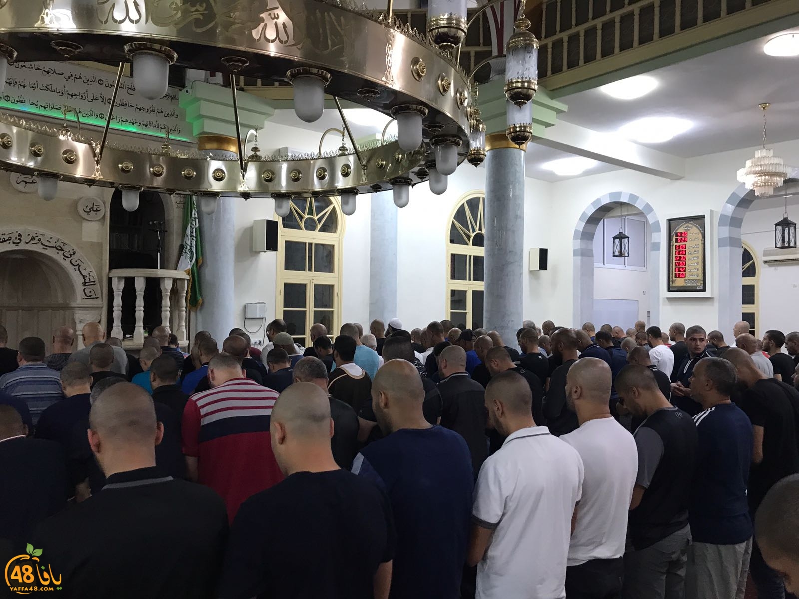 WhatsApp Image 2017-09-23 at 06.11.02.jpeg